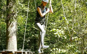 Halver climbing forest