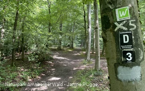 Pfad Nähe Danzturm Iserlohn