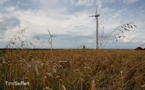 Acker (c) Tim Seiffert.jpeg