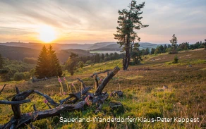 Kahle Pön und weite Landschaft bei Sonnenuntergang.