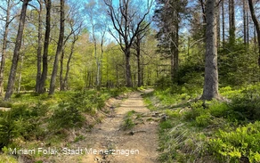 Über den Sauerland-Höhenflug hinauf zur Nordhelle
