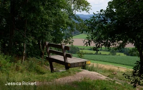 Riesen Bank bei Eversberg 1 © Jessica Rickert.jpg