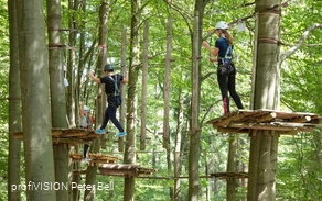 Kletterwald