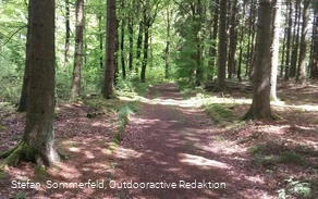 Schöne Wege durch den Wald