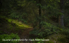 Sauerland-Seelenort Steinbruch am Schinkenkeller