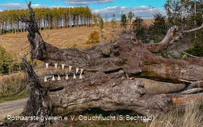 Naturkunst auf der Haincher Höhe