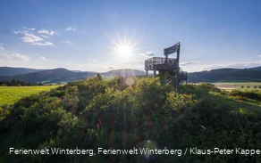Ein Aussichtsturm in Form eines großen Holzstuhles auf einem bewaldeten Hügel vor blauem Himmel und Sonne inmitten von Wiesen und Wäldern.