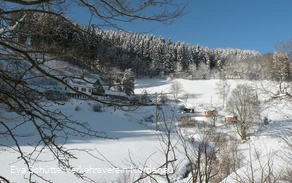 Nesselbach