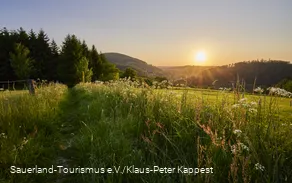 Sonnenuntergang über grünen Hügeln und Feldern.