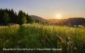Sonnenuntergang über grünen Hügeln und Feldern.