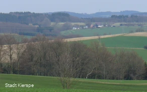 Feld