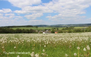 Tausende Pusteblumen - Panorama bei Berge