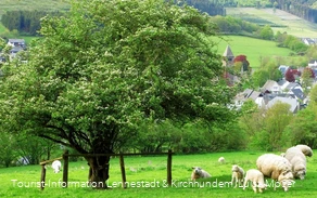 Blick auf Saalhausen, unterhalb des "Weißen Kreuzes"