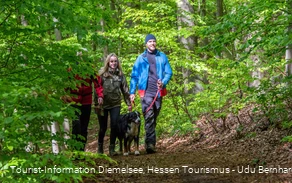 Rundwanderweg Diemelsee Wirmighausen