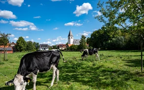 Welver-Dinker_Ahseweg_2025(c) Tim Seiffert.jpeg