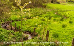 Flussverlauf Lütke Aa