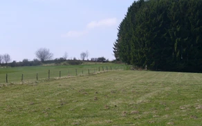 Landschaft Feld