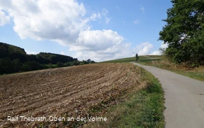 Zwischen Wiesen und Feldern geht es hinab in Richtung Ihne