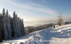 Ausblick von Wildewiese