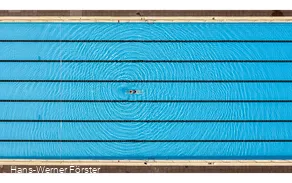 Forest outdoor pool-04.jpg