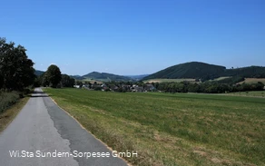Sträßchen durch die Wacholderheide