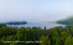 Foggy atmosphere at the lake