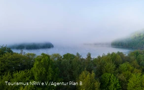 Foggy atmosphere at the lake
