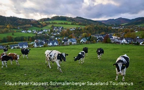 Wandern auf der Golddorf-Route Fleckenberg