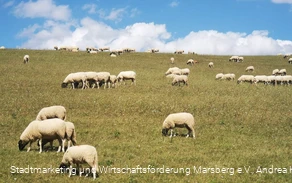 Glockengrund Udorf