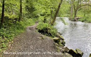 Fluss im Hönnetal 
