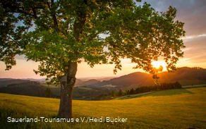 Sunset over Sauerland landscape in spring.