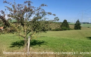 Glockengrund Udorf