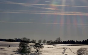 2017-01-17 Collenberg (5).jpg