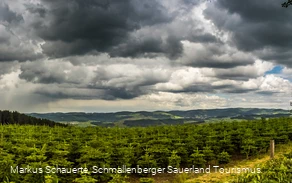Aussicht am Wanderparkplatz "Am Brande"