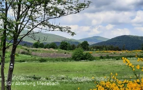 Geführte Wanderungen in Medebach