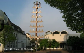 Zunftbaum vor dem Rathaus