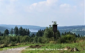 Blick auf den Sorpesee
