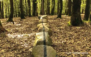 Mit einem schwarzen Strich bemalte Steine liegen in einer Reihe im Wald.