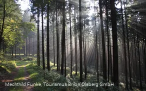 Wanderweg zum Langenberg