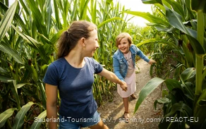 Kinder laufen durch ein Maisfeld in der Natur im Sauerland.