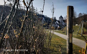 Scheuerpfahl Holz, Stein, Metall