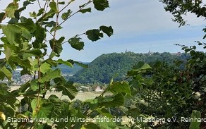Ausblick Obermarsberg