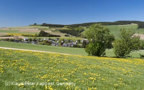 Altenfeld