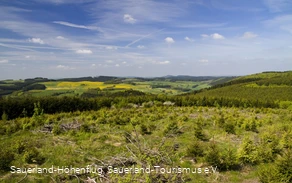 Blick vom Blackshahn nahe Waldeshöhe auf dem Sauerland-Höhenflug