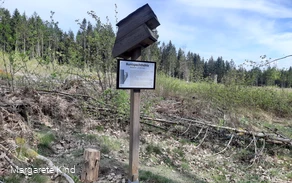 Guckkasten ©Margarete Kind.jpg