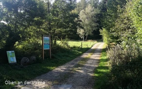 Rätseltafel an einer Waldkreuzung
