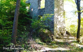 Burgruine Schwarzenberg