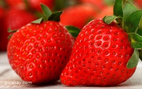 Erdbeeren