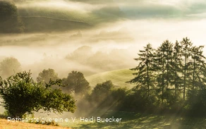 morgendunst-im-sauerland-1133.jpg