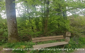 Bredelar, Naturschutzgebiet Forst Bredelar